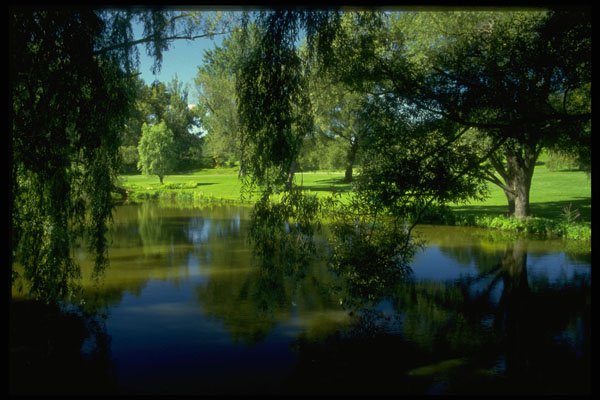 482032 Arboretum, Experimental Farm, Ottawa, Canada A4 Photo Print
