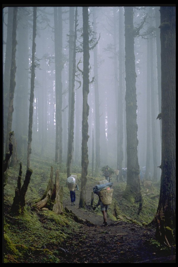 482069 Sherpa Porters In The Mist, Nepal A4 Photo Print
