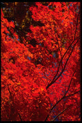 483003 Autumn Landscape A4 Photo Print