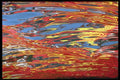 483009 Water Reflection A4 Photo Print