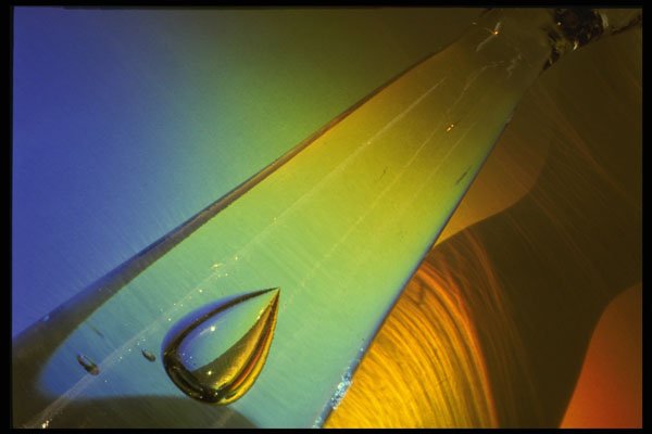 483018 Glassware And Spectral Shadow A4 Photo Print