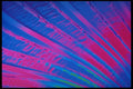 483067 Flowing Phosphorescence A4 Photo Print