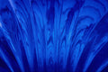 483079 Blue Fan A4 Photo Print