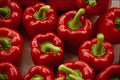483089 Red Sweet Peppers A4 Photo Print