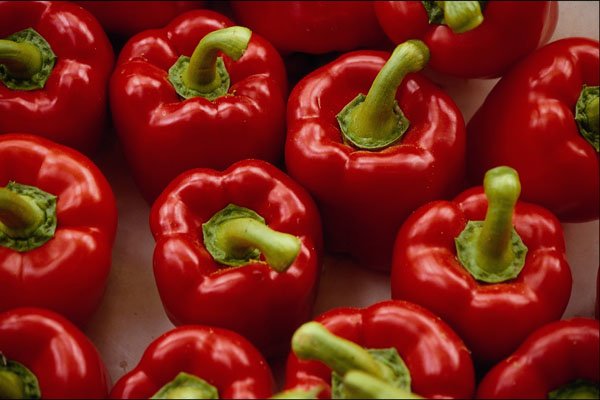 483089 Red Sweet Peppers A4 Photo Print