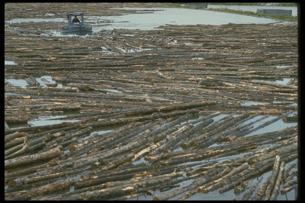484003 Lumber Mill Near Red Lake A4 Photo Print