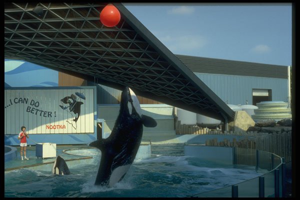 484015 Marineland, Niagara Falls A4 Photo Print
