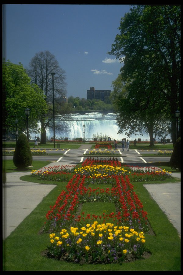 484026 Entrance To The Falls, Niagara Falls A4 Photo Print