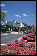 484032 Colorful Elgin Street, Ottawa A4 Photo Print