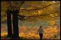 484034 Walk In The Park A4 Photo Print