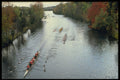 484044 Head Of The Trent Regatta, Peterborough A4 Photo Print