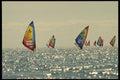 484050 Ontario Windsurfing Championships A4 Photo Print
