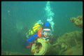 484084 Exploring The Wetmore, Tobermory A4 Photo Print