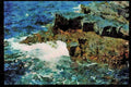 486007 The Rugged Seas Off The Coast Of Nova Scotia, Canada A4 Limited Edition Watercolour Print