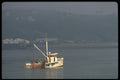 486023 Nova Scotian Scallop Dragger Steams Into Port, Canada A4 Photo Print