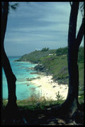 486026 Mangrove Bay Beach, Bermuda A4 Photo Print