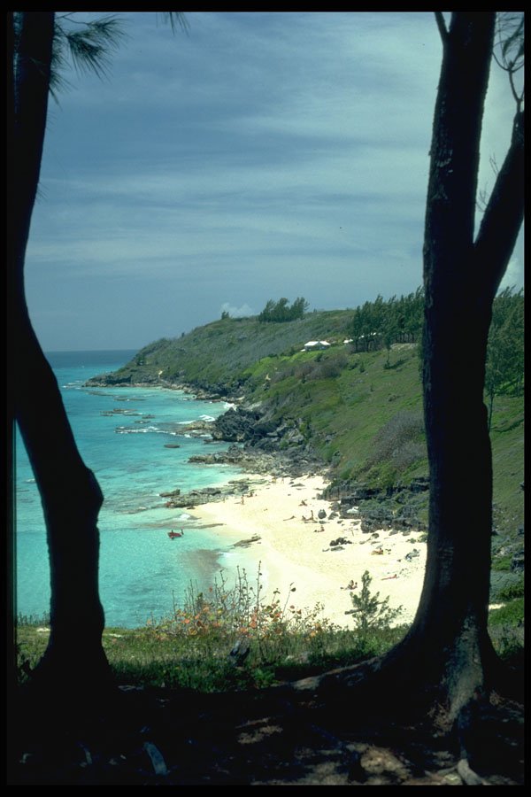 486026 Mangrove Bay Beach, Bermuda A4 Photo Print