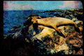 486029 It's Nap Time For This Galapagos Sea Lion A4 Limited Edition Watercolour Print
