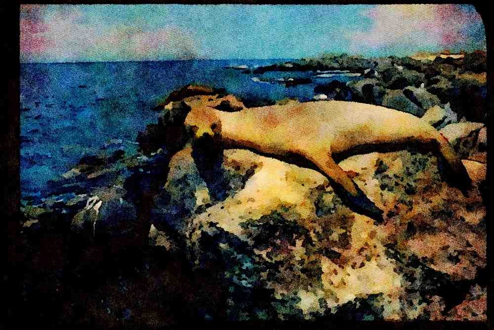 486029 It's Nap Time For This Galapagos Sea Lion A4 Limited Edition Watercolour Print