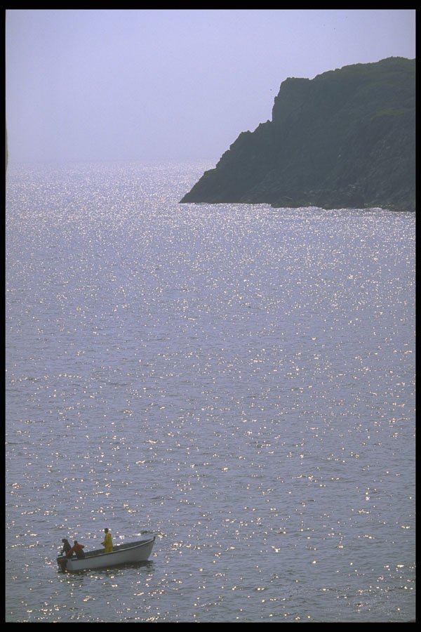 486040 Early Morning Fishing, Newfoundland, Canada A4 Photo Print