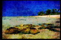 486044 Lagoon And Reef, Rarotonga, Cook Islands A4 Limited Edition Watercolour Print