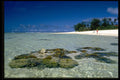 486044 Lagoon And Reef, Rarotonga, Cook Islands A4 Photo Print