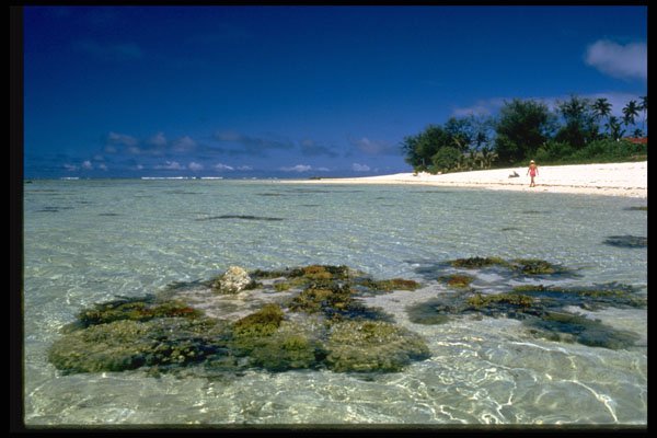 486044 Lagoon And Reef, Rarotonga, Cook Islands A4 Photo Print