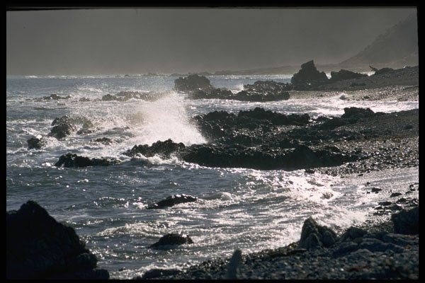 486047 Windswept Coast On Cook Strait Near Wellington, New Zealand A4 Photo Print