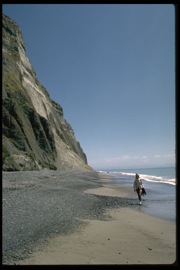 486049 Coastline Near Cape Kidnappers, New Zealand A4 Photo Print