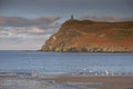 486083 Seagulls On The Beach On A Winter Day, Port Erin, England A4 Photo Print