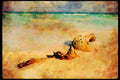 486084 Driftwood, Mexico Beach A4 Limited Edition Watercolour Print