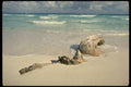 486084 Driftwood, Mexico Beach A4 Photo Print