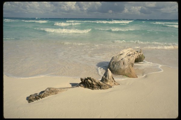 486084 Driftwood, Mexico Beach A4 Photo Print