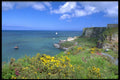486086 Berry Head, Devon, England A4 Photo Print