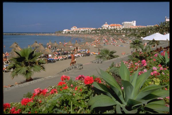 486093 Playa De Las Americas, Tenerife, Canaries A4 Photo Print