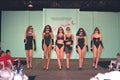 488019 Mesmerizing Mesh In Basic Black A4 Photo Print