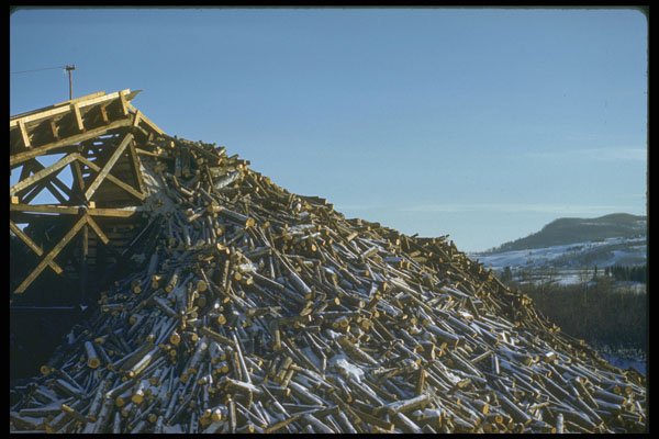 489001 Wood Pile At Pulp Mill, Edmundston, New Brunswick A4 Photo Print