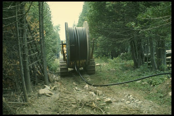489044 Cable On Large tracked Carrier In Bush A4 Photo Print