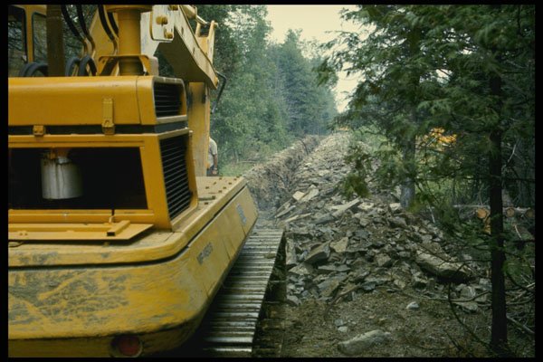 489049 Trench Through Bush A4 Photo Print