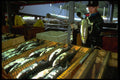 489052 Salmon Hatchery, Alaska A4 Photo Print