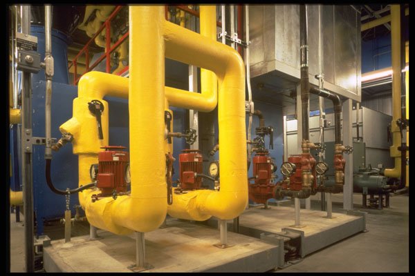 489098 Yellow Pipes A4 Photo Print