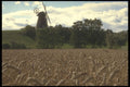 490001 Windmills In Denmark A4 Photo Print