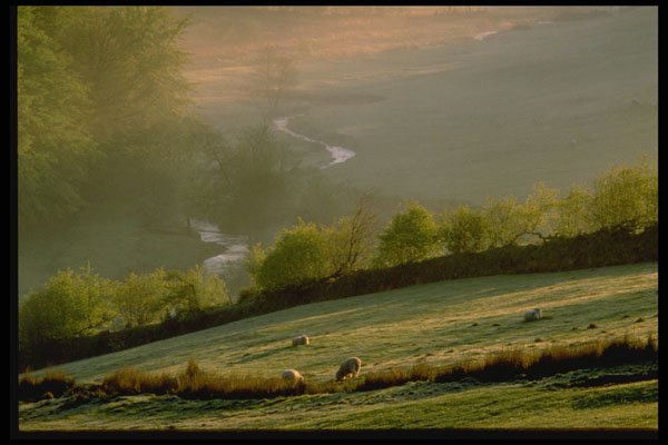 490005 View Across Meadows Near Challacombe At Dawn, Great Britain A4 Photo Print