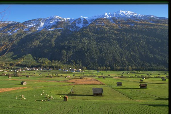 490006 Landscape Near Altdorf, Switzerland A4 Photo Print
