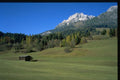 490007 High Mountain Pasture Near Interlaken, Switzerland A4 Photo Print