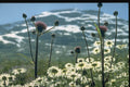 490009 Geitenyken, Stryn, Norway A4 Photo Print