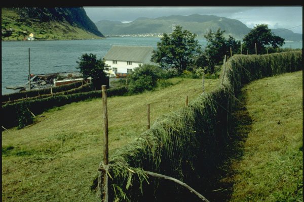 490010 Bergsoy In Western Norway A4 Photo Print