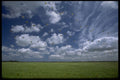 490013 Parachutes Near St. Mere L'Eglise, Amferville A4 Photo Print