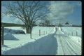 490024 Rural Snow Scene In Canada A4 Photo Print
