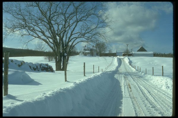 490024 Rural Snow Scene In Canada A4 Photo Print